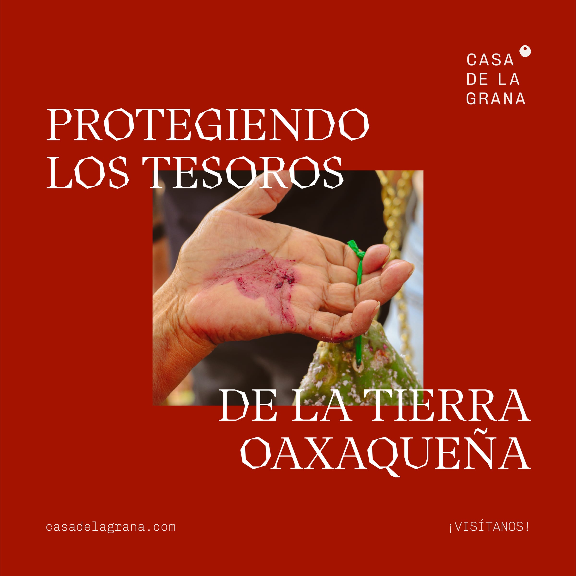 Master gráfico