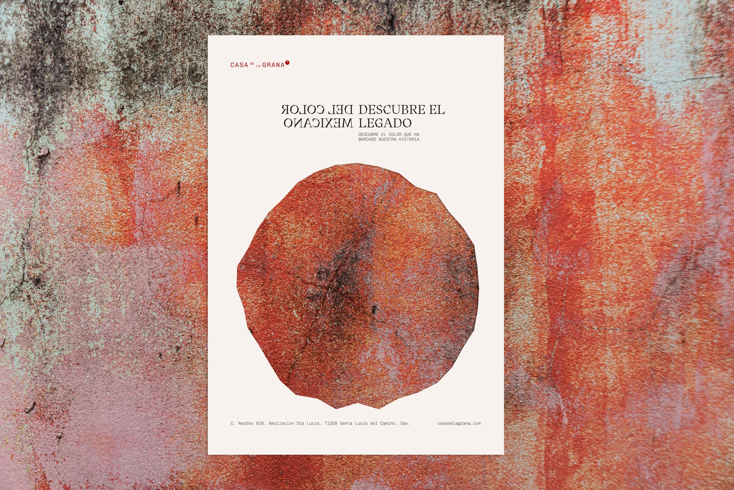Poster Descubre el color del legado mexicano