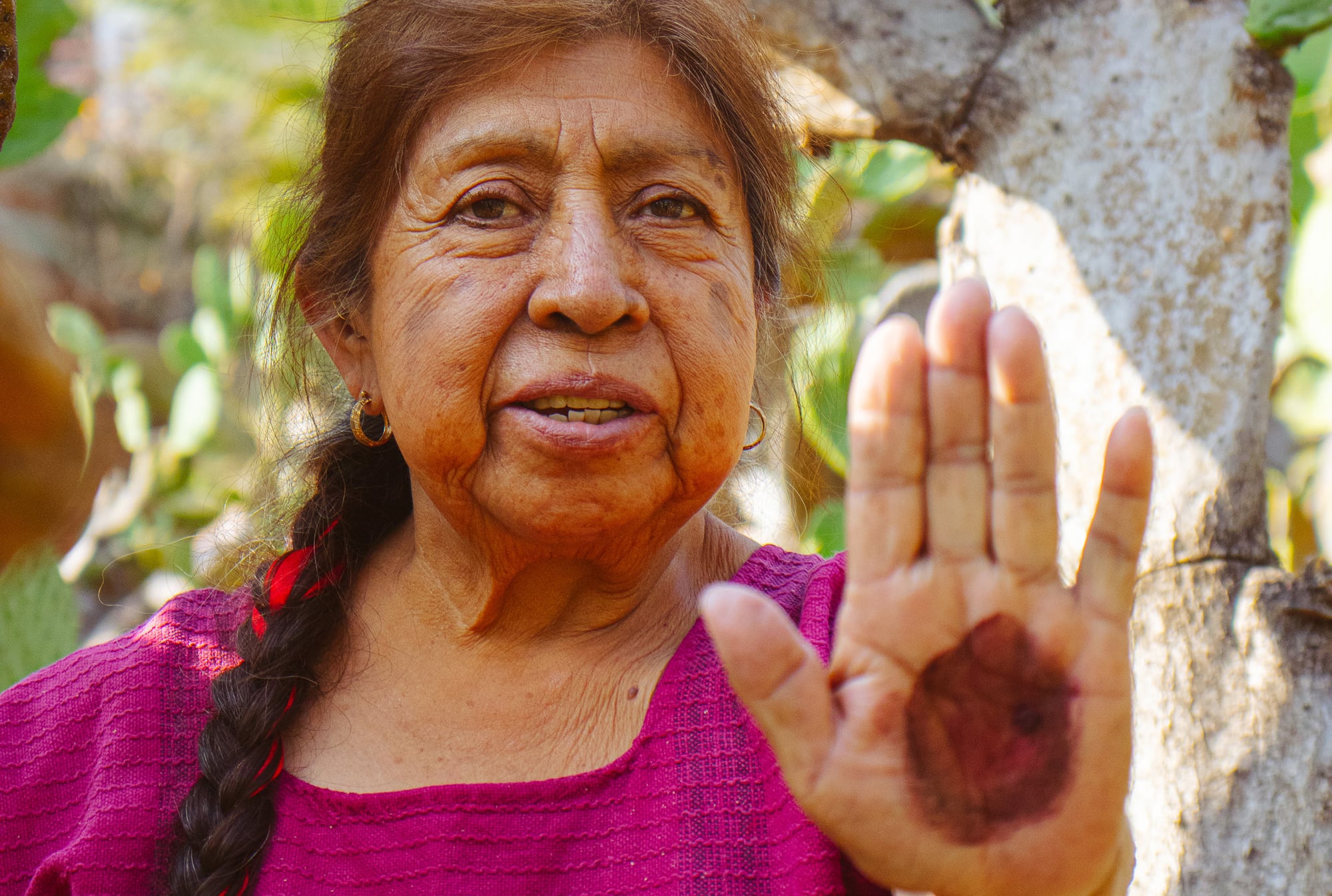 Maestra Yolanda mostrando grana cochinilla en sus manos