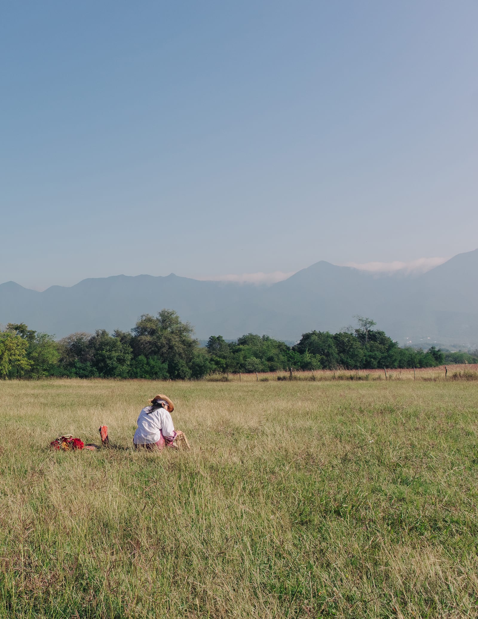 Paisaje oaxaqueño — campos abiertos con la Sierra Sur al fondo